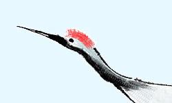 Featured image of post Example Category